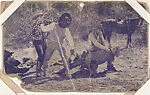 Cowboys Fighting from Western Stars or Scenes Exhibit Cards series (W412) — Unknown
