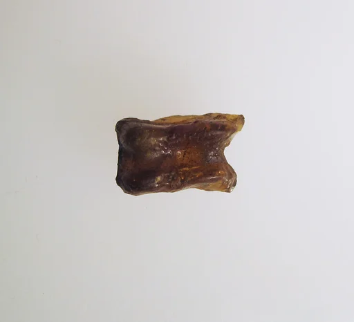 Glass astragal (knucklebone)