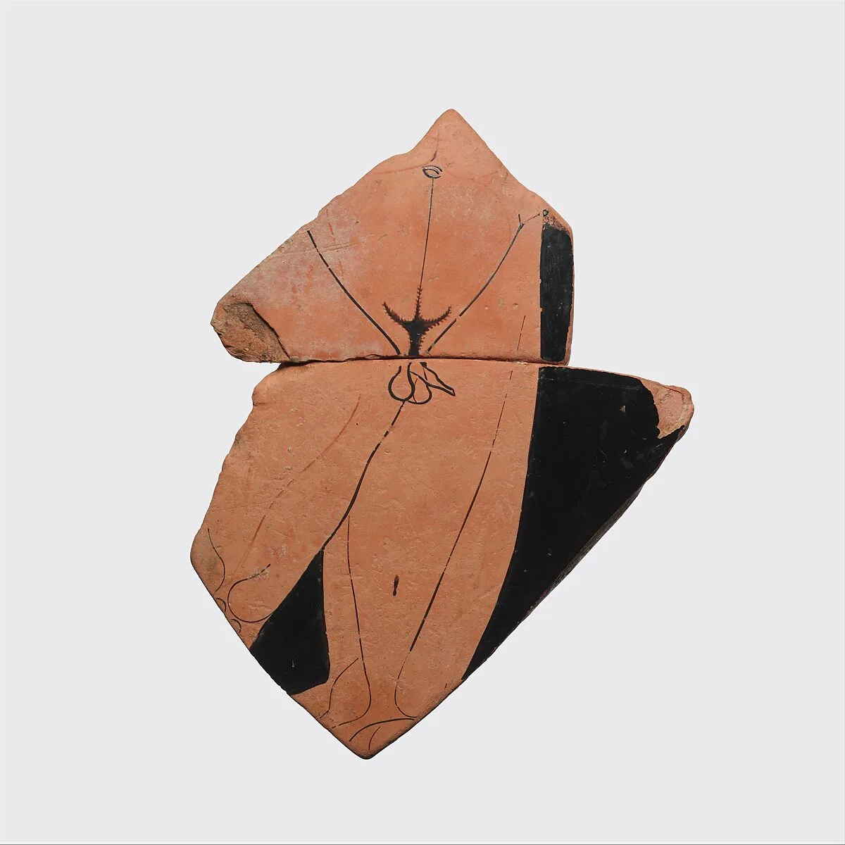 Fragment of a terrracotta neck-amphora (jar) — Euphronios