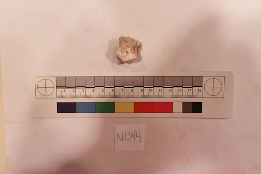 Stucco Fragment