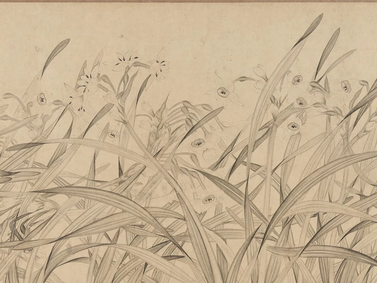 南宋 趙孟堅 水仙圖 卷|Narcissus — Zhao Mengjian