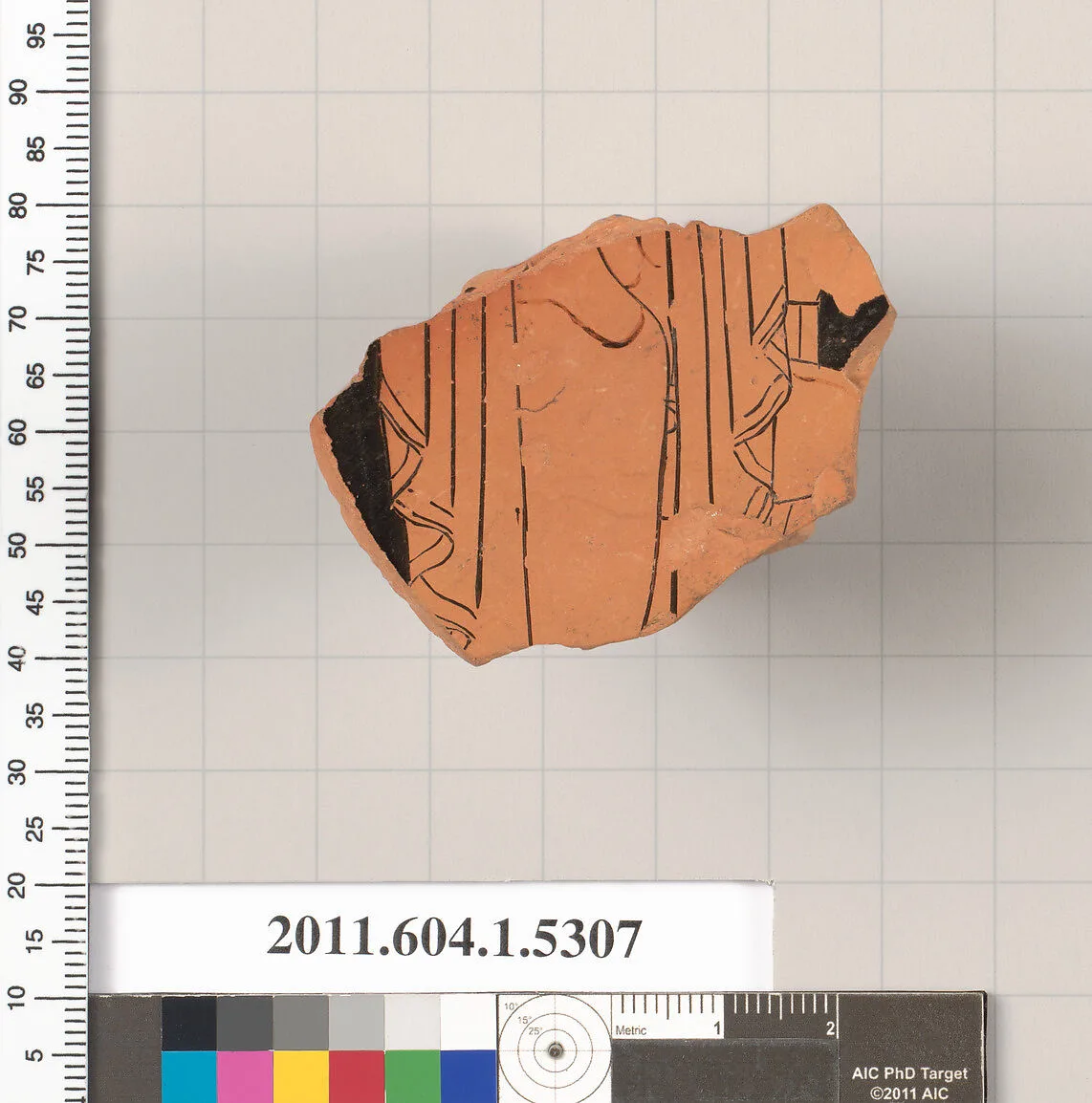 Terracotta fragment of a kylix (drinking cup) — Unknown