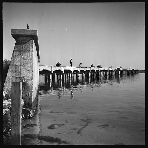[Fishermen on Bridge, Near Sarasota, Florida]