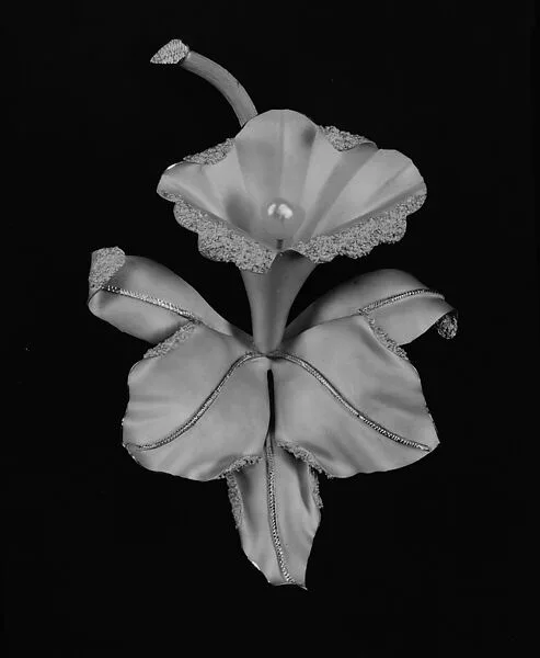 Brooch — Unknown