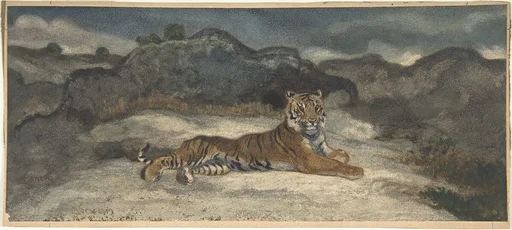 Royal Tiger