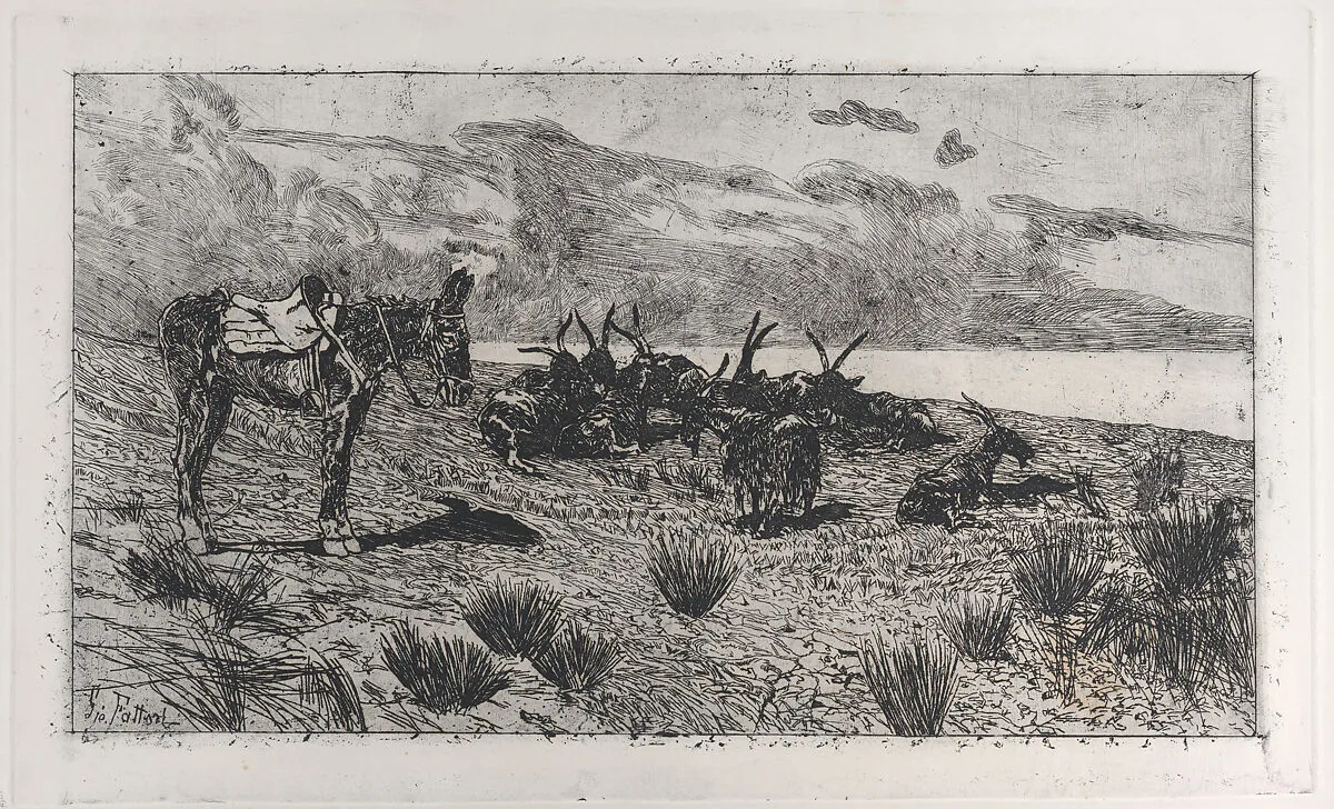 Donkeys on a seashore in winter — Giovanni Fattori