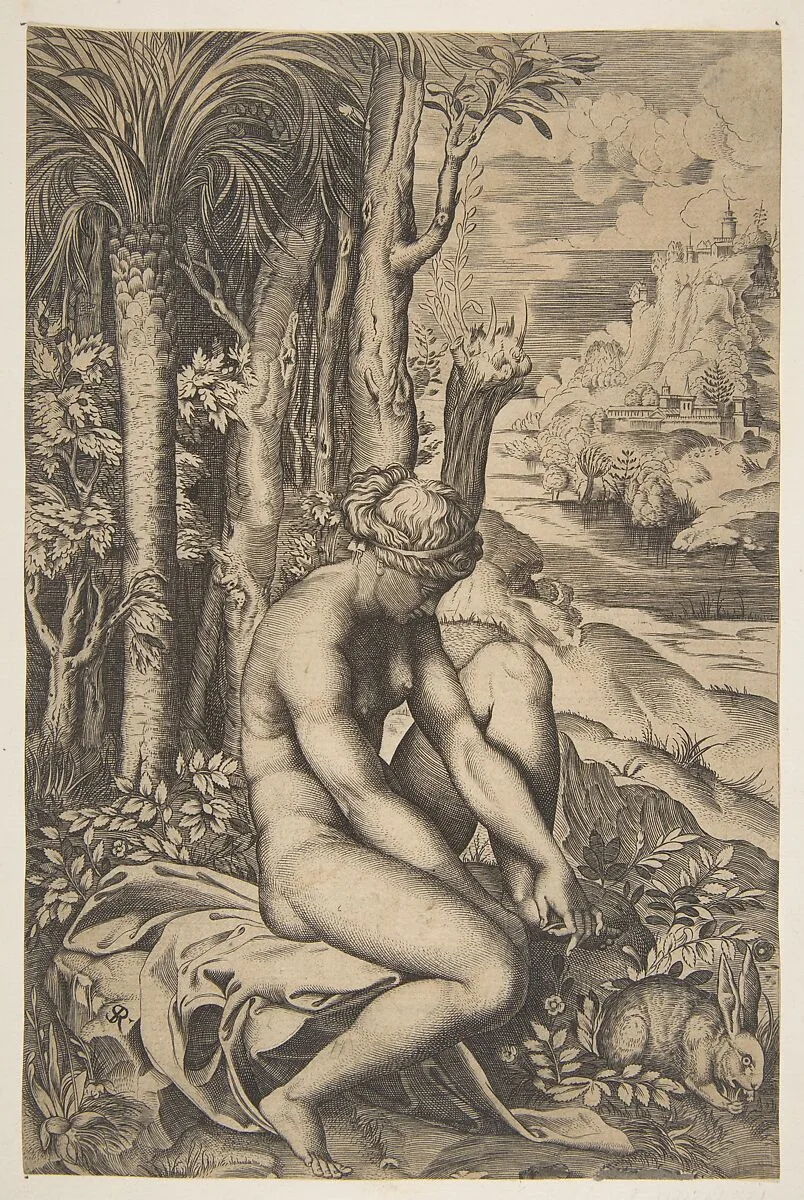 Venus removing a thorn from her left foot while seated on a cloth beside trees and foliage, a hare eating grass before her — Marco Dente|Francesco Villamena|Raphael (Raffaello Sanzio or Santi)