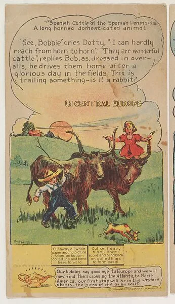 Spanish Cattle of the Spanish Peninsula, Central Europe, collector card from the Dotty, Bob and Trix Cards series (D27), issued by the Pryor Baking Company — Pryor Baking Company