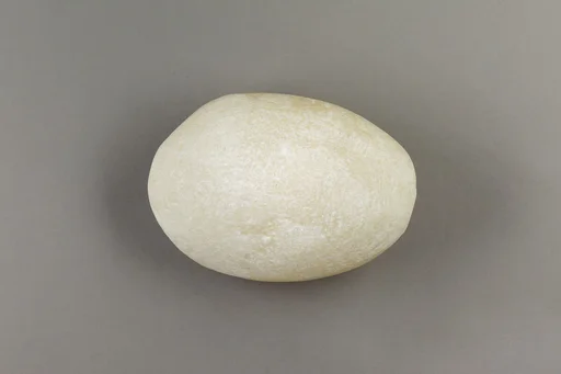 Clam-shell-shaped Hammer