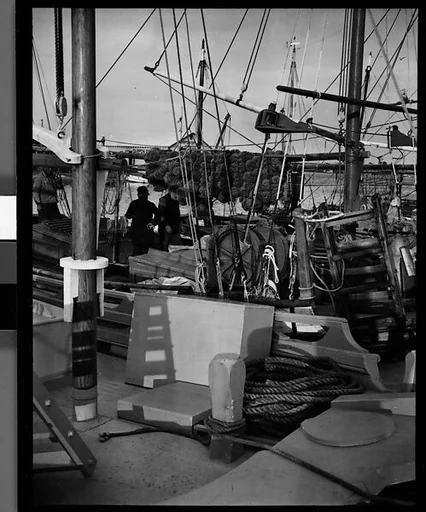[Sponges on Boat in Wharf, Tarpon Springs, Florida]