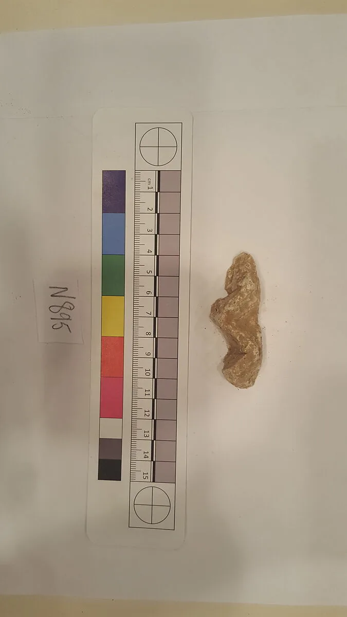 Stucco Fragment — Unknown