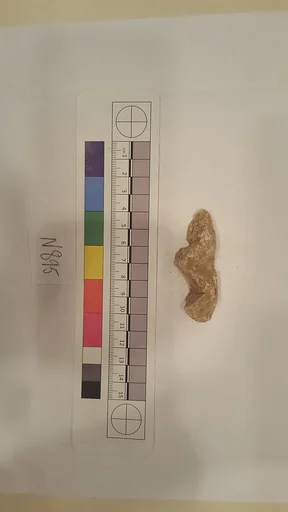 Stucco Fragment
