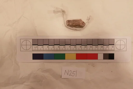Stucco Fragment