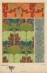 Chrysanthèmes (Chrysanthemums), pl. 18 — Emile-Allain Séguy|A. Calavas