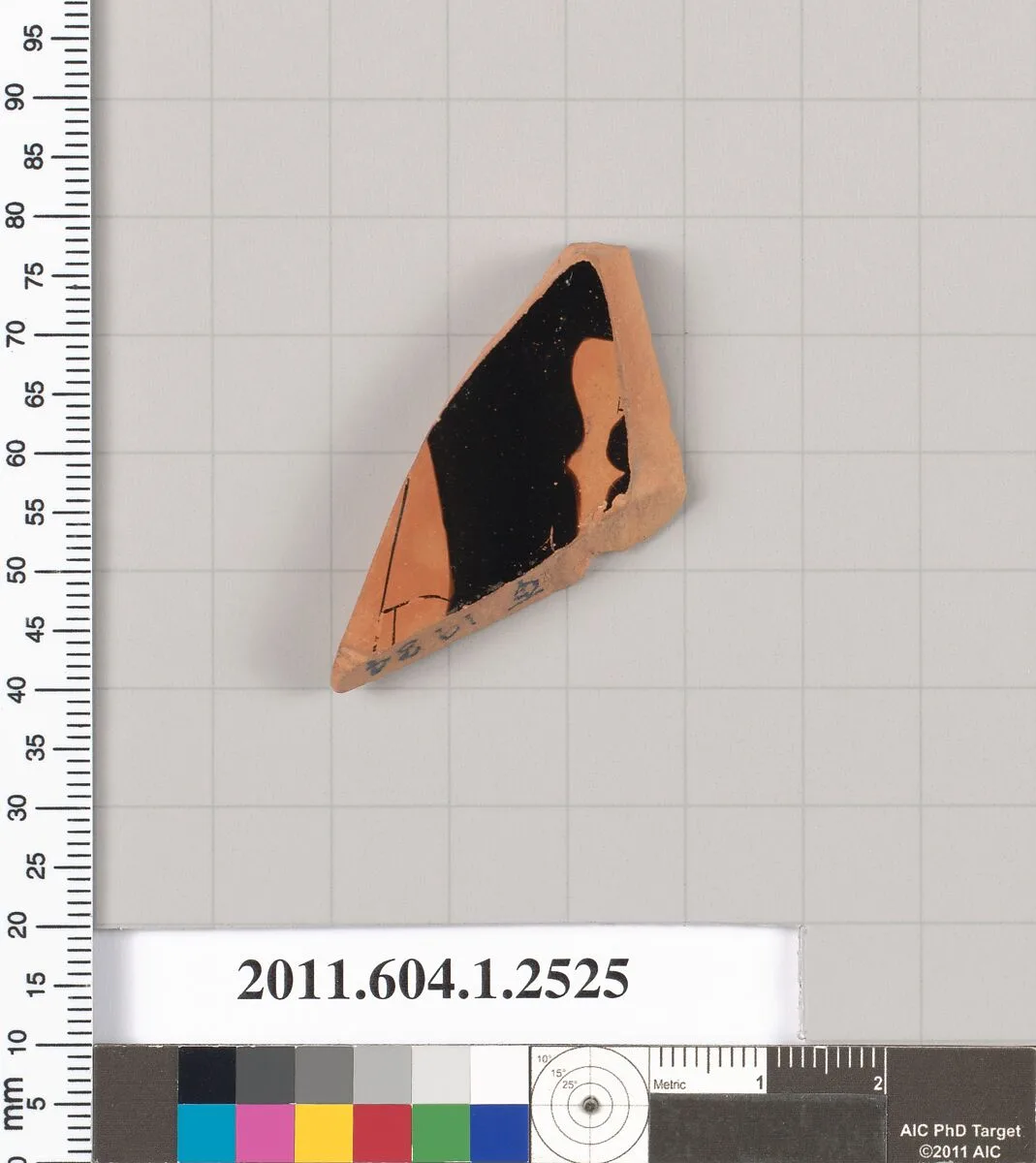 Terracotta fragment of a kylix (drinking cup) — Unknown