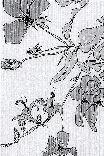 Textile