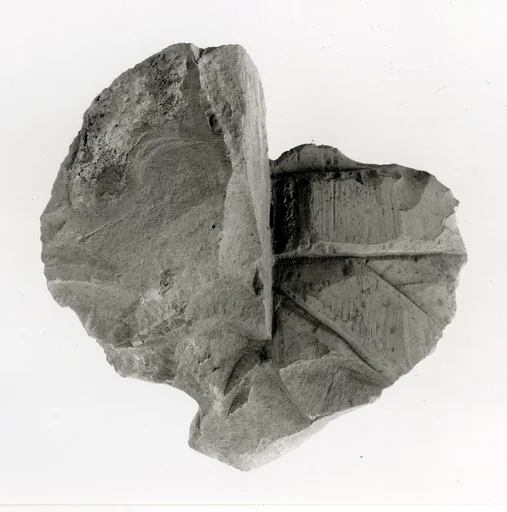 Raised relief fragment