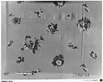 " Americana Print: Bouquets" Textile
