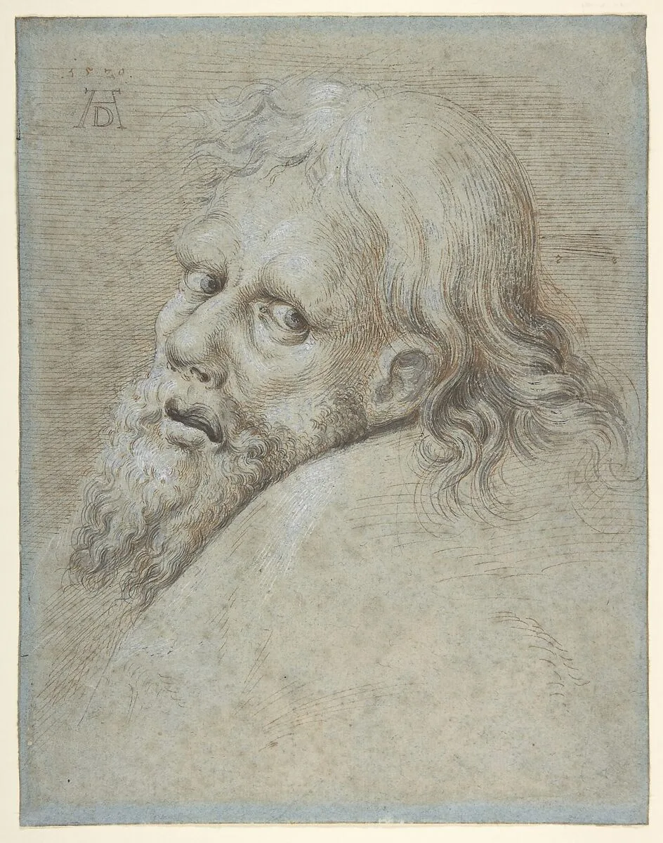 Head of a Bearded Man — Hans Hoffmann