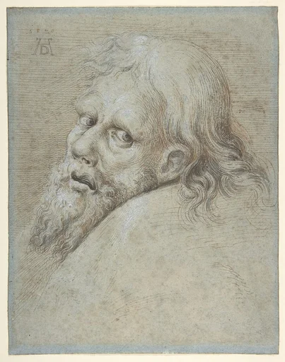 Head of a Bearded Man