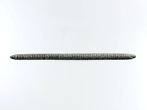Rasp