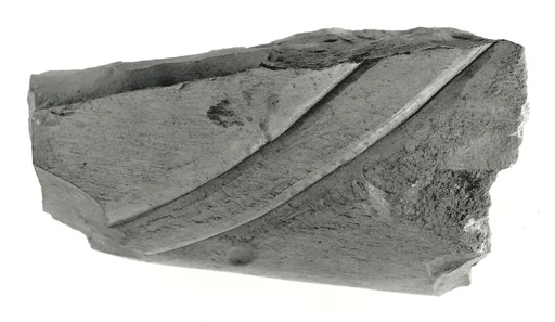 Raised relief fragment