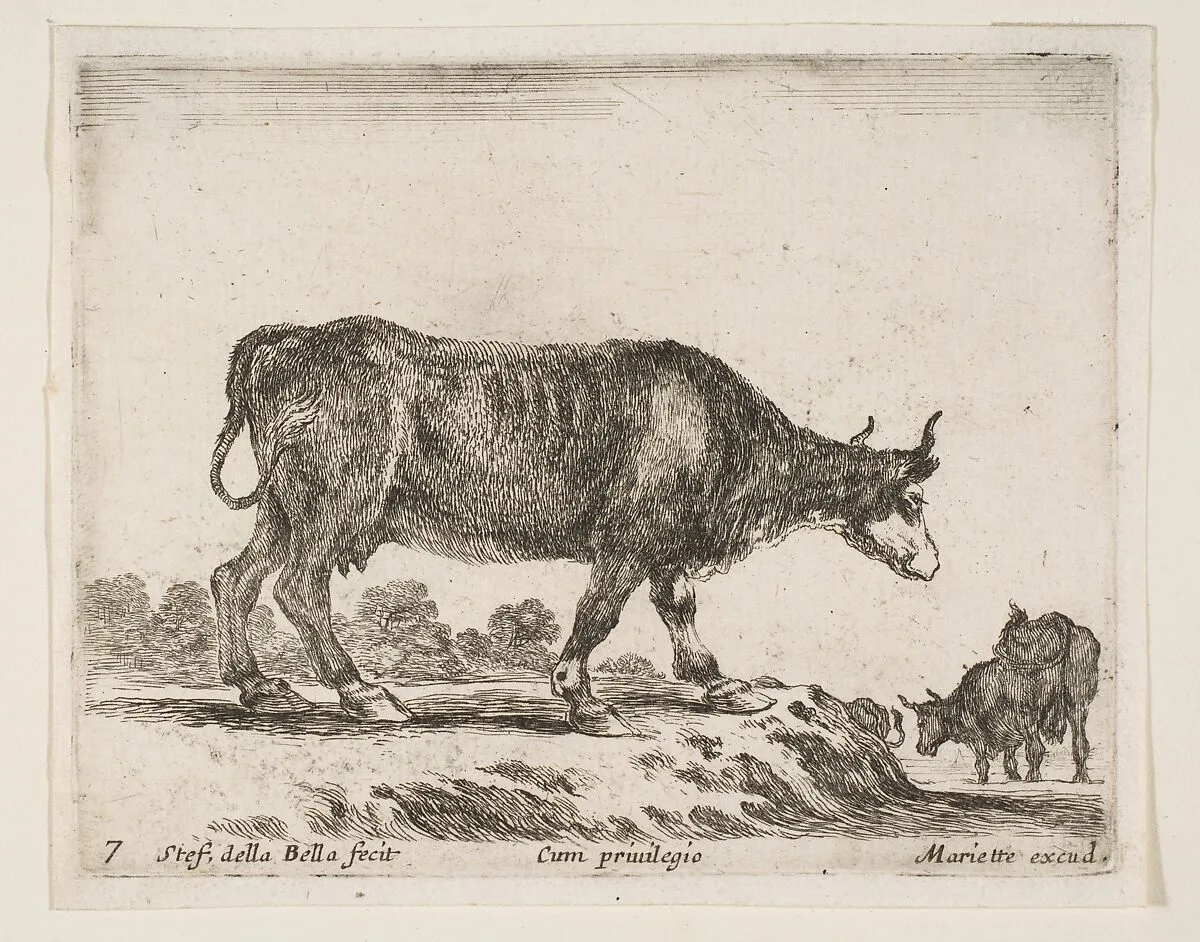 Ox, plate 7 from "Various Animals" (Diversi Animali) — Stefano della Bella|Pierre Mariette