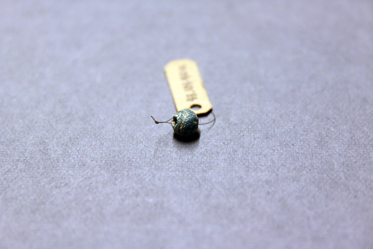 Beads — Unknown