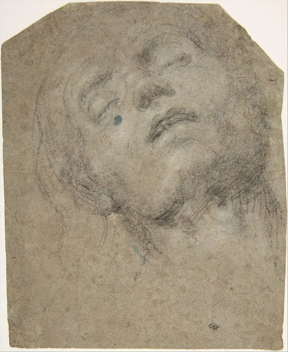 Study of a Head — Giovanni Gerolamo Savoldo