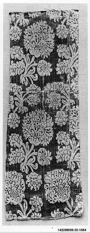 Fragment — Unknown