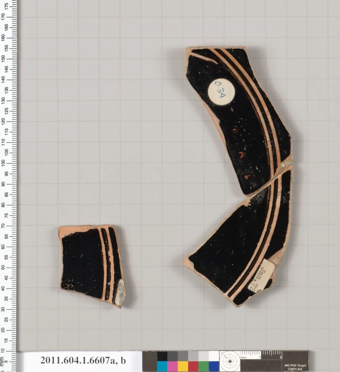Terracotta fragments of a kylix (drinking cup) — Unknown