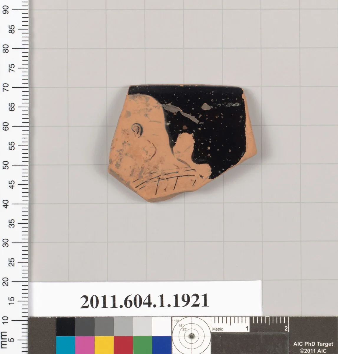 Terracotta rim fragment of a kylix (drinking cup) — Unknown