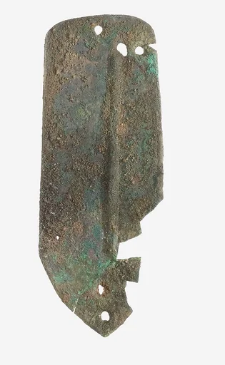 Scale from Armor