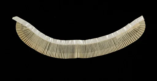 Collar