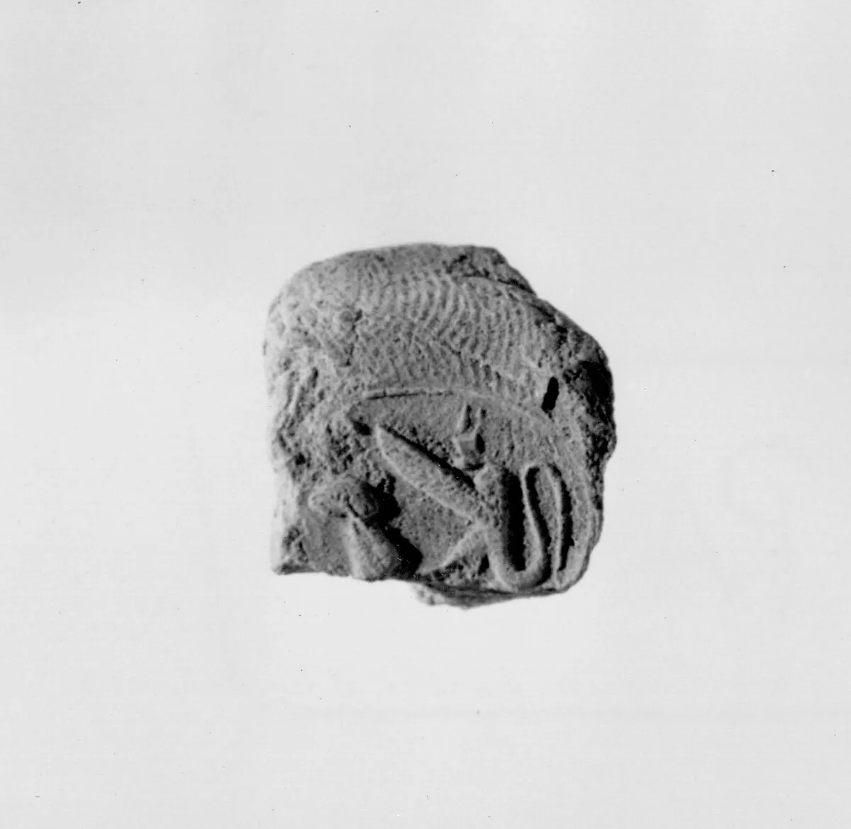 Document Sealing With the Throne Name of Amenhotep III — Unknown