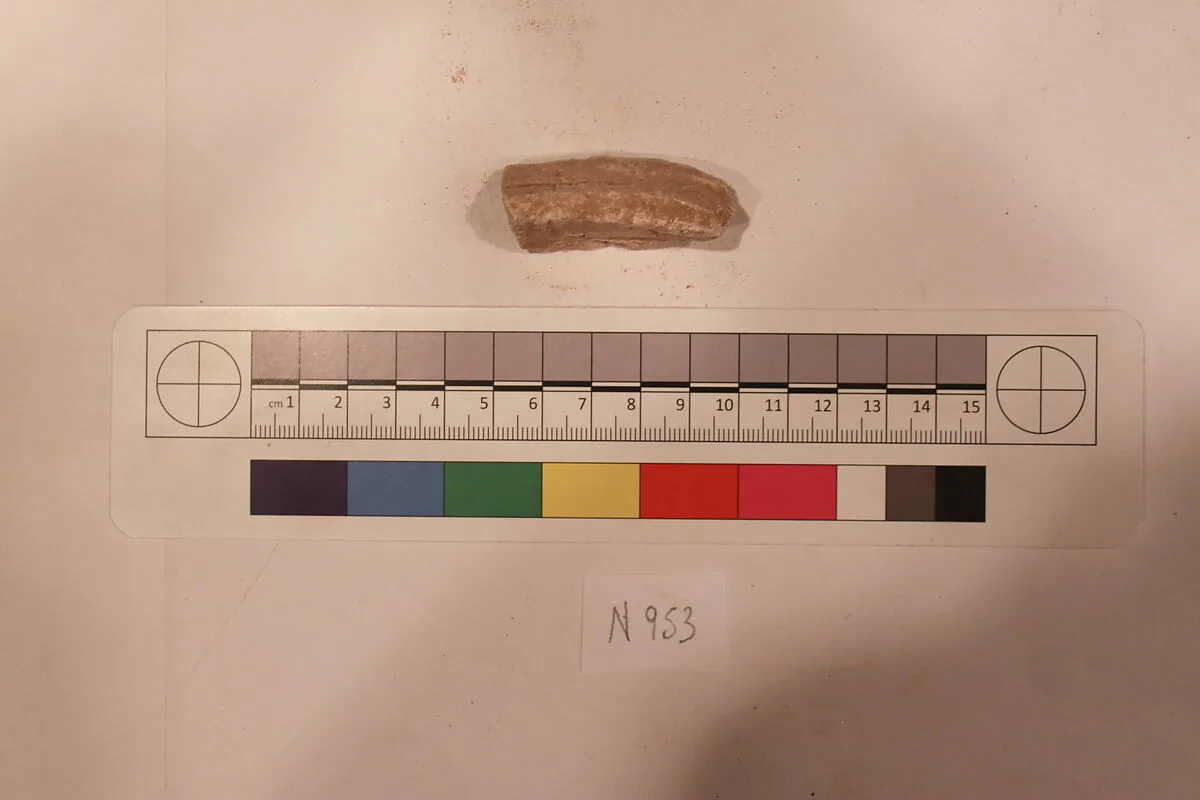Stucco Fragment — Unknown
