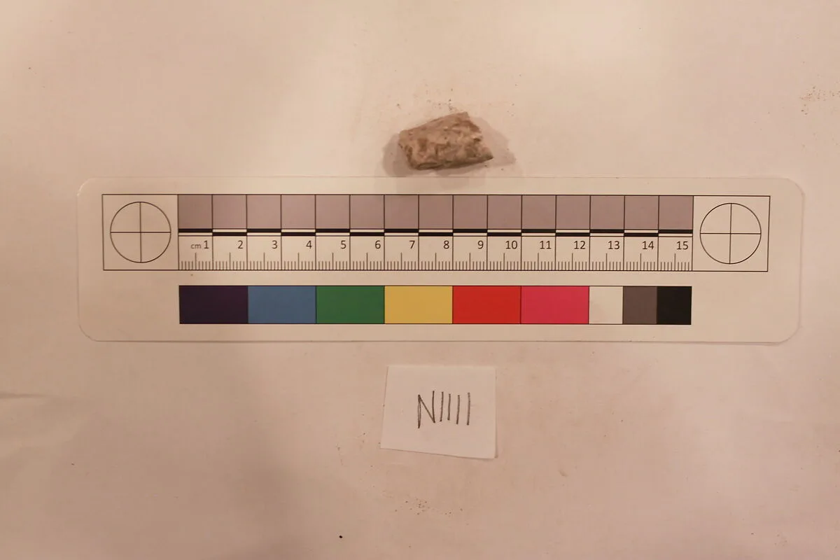 Stucco Fragment — Unknown