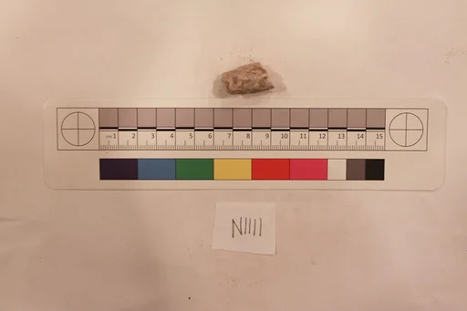 Stucco Fragment