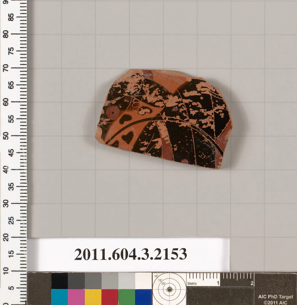 Terracotta fragment of a kylix (drinking cup) — Unknown