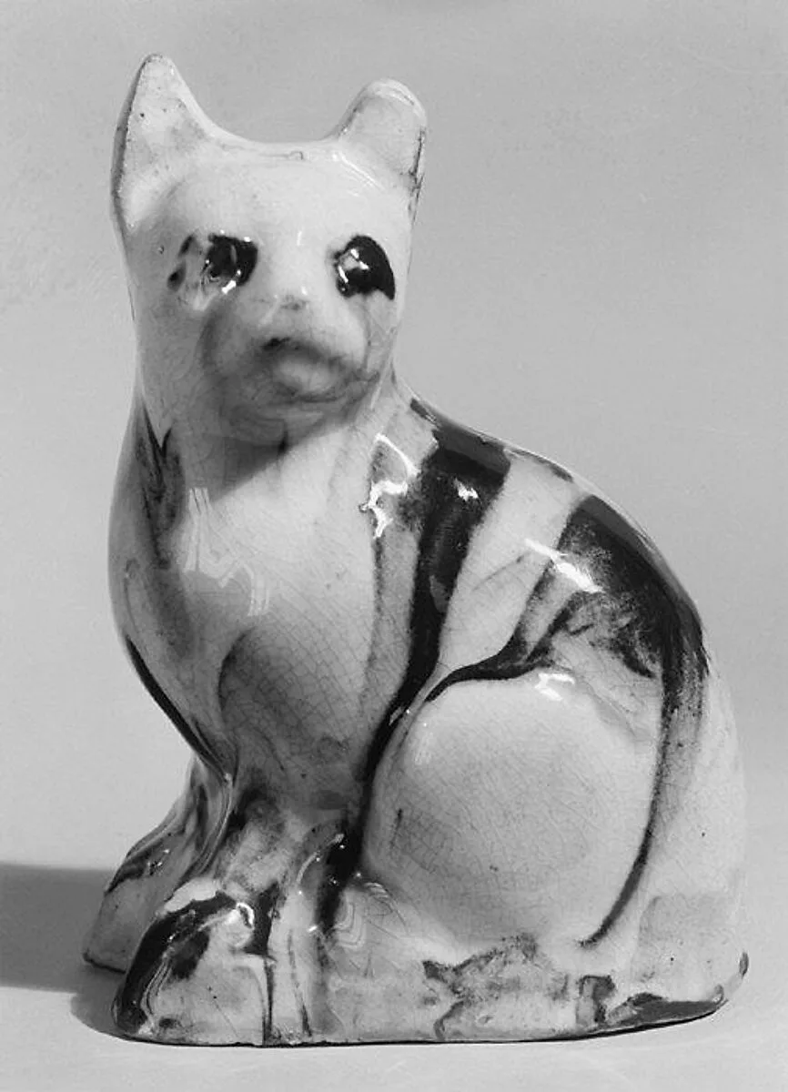 Cat — John Astbury