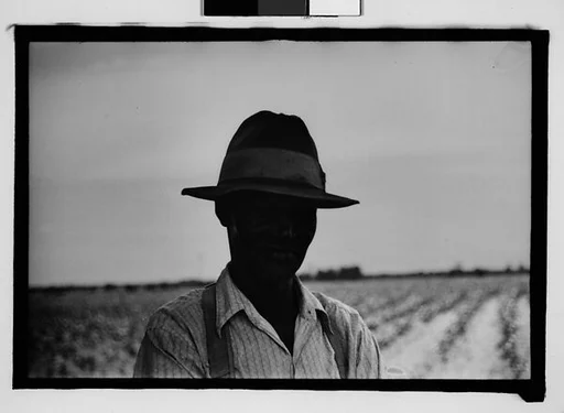 [Man Wearing Hat and Suspenders with Field in Background, Hale County?, Alabama]