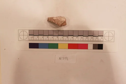 Stucco Fragment
