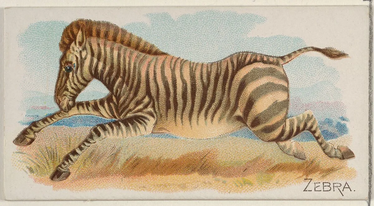 Zebra, from the Quadrupeds series (N21) for Allen & Ginter Cigarettes — Allen & Ginter|Lindner, Eddy & Claus