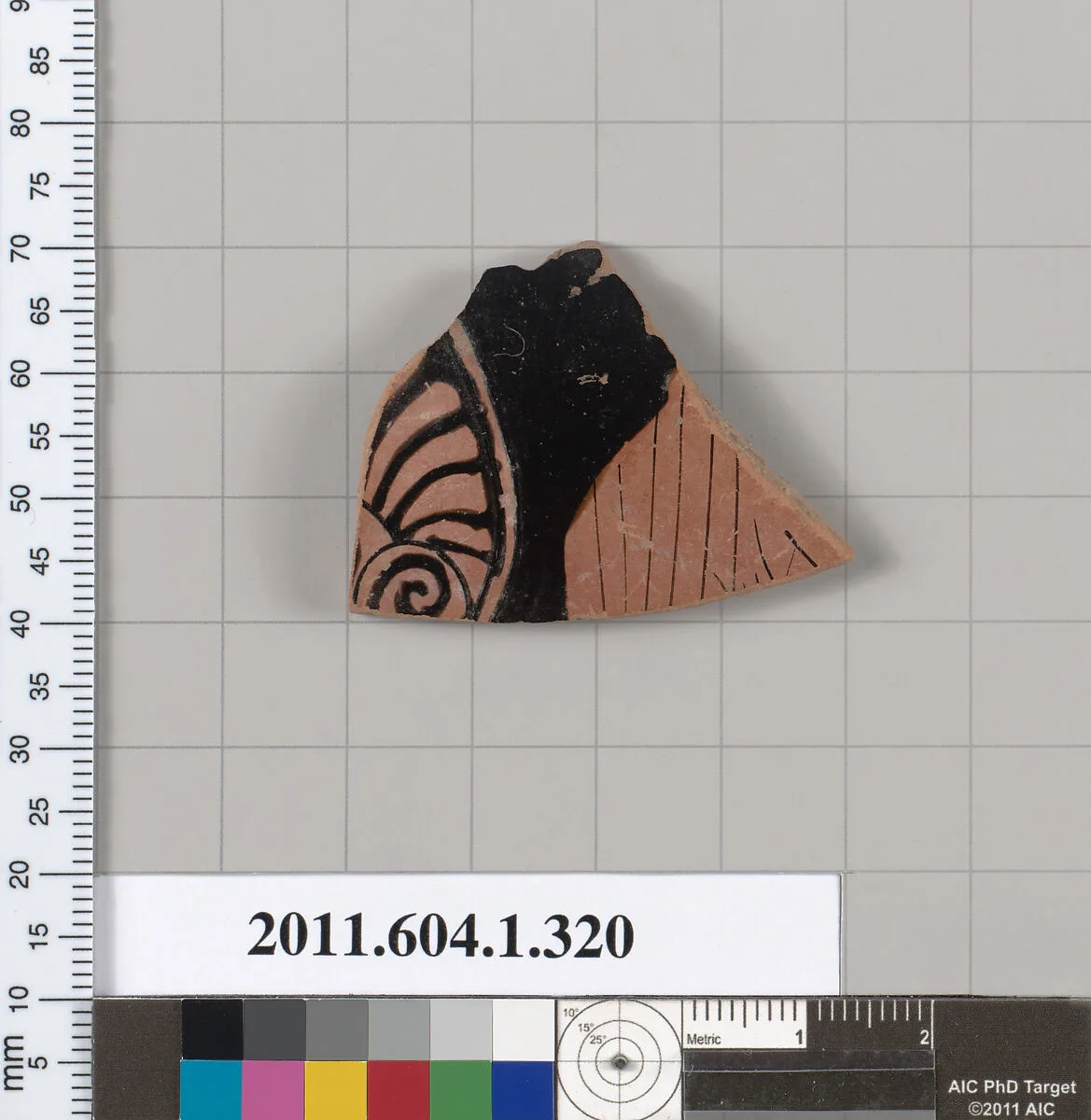 Terracotta fragment of a kylix (drinking cup) — Unknown