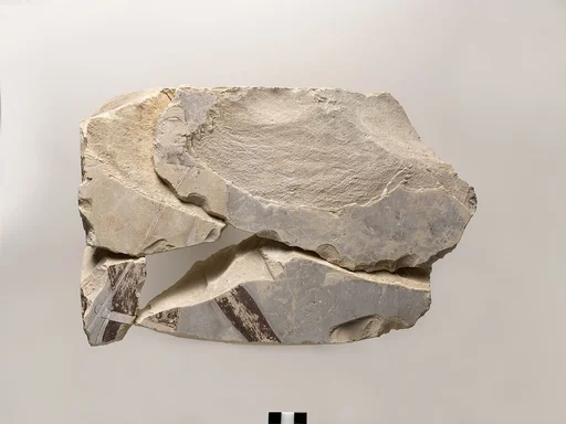 Relief fragments from the tomb of Meketre