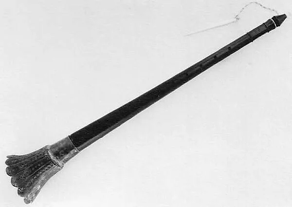 Nāgasvaram — Unknown