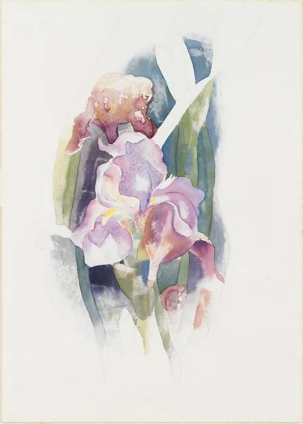 Purple Iris — Charles Demuth