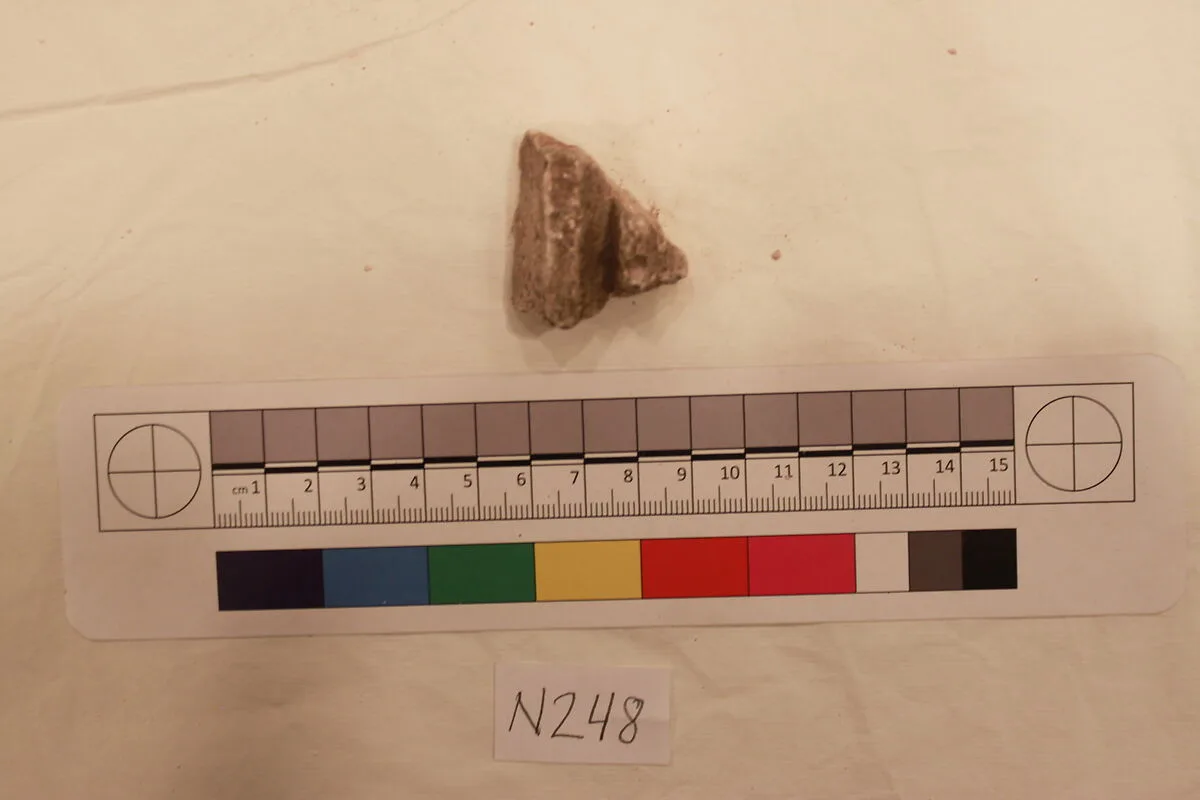 Stucco Fragment — Unknown