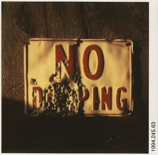 [No Dumping Sign Riddled with Bullet Holes]