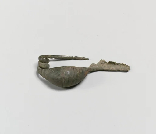 Fibula